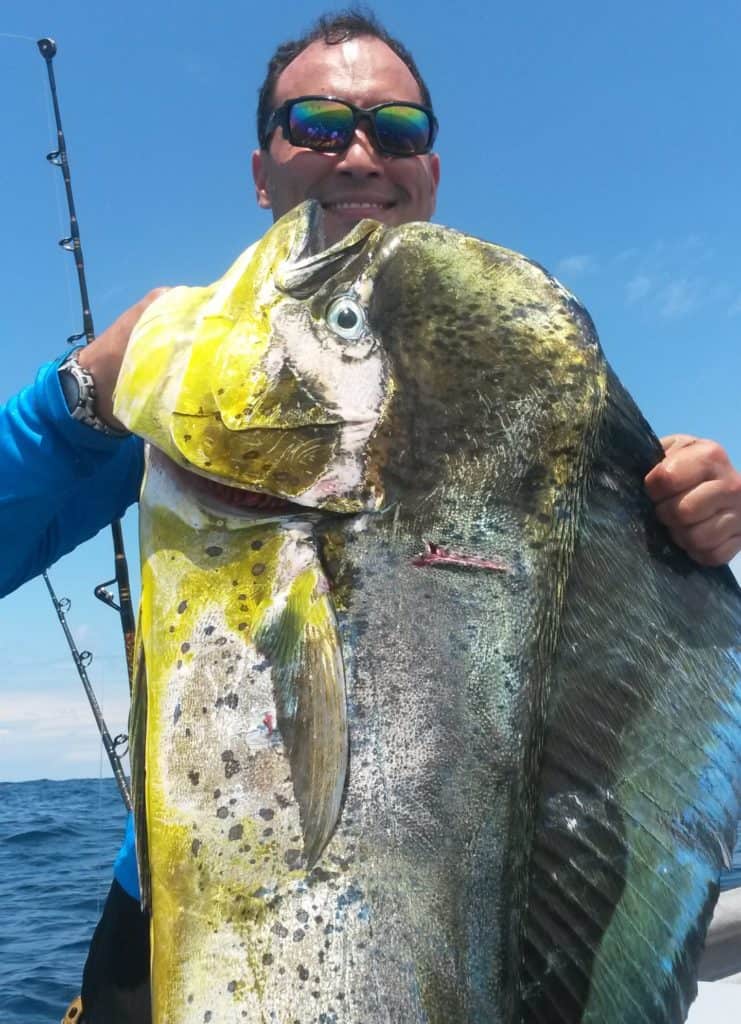 Mahi Mahi Panama Sportfishing