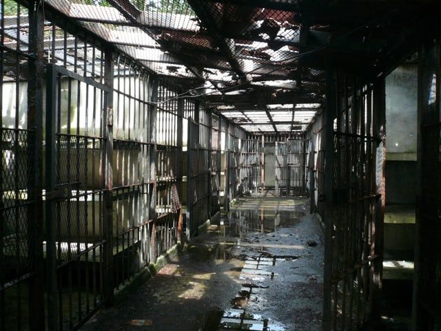 Coiba Deadly Prison